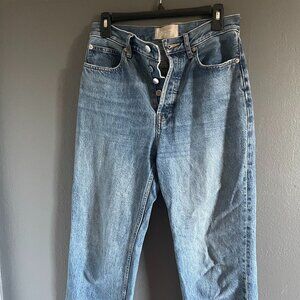 Everlane Rigid Way-High Button Fly Organic Jeans